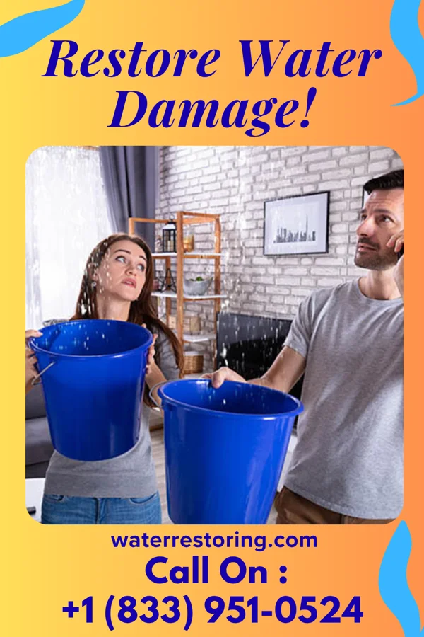 water restoration Citywide Water Damage Solutions Rural Hall