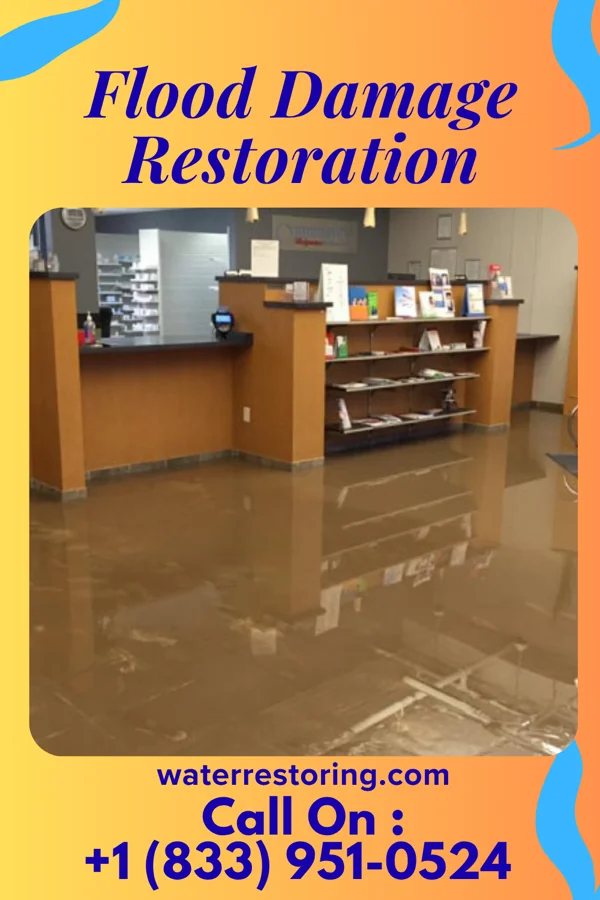 Flood Damage Restoration in Rural Hall, NC