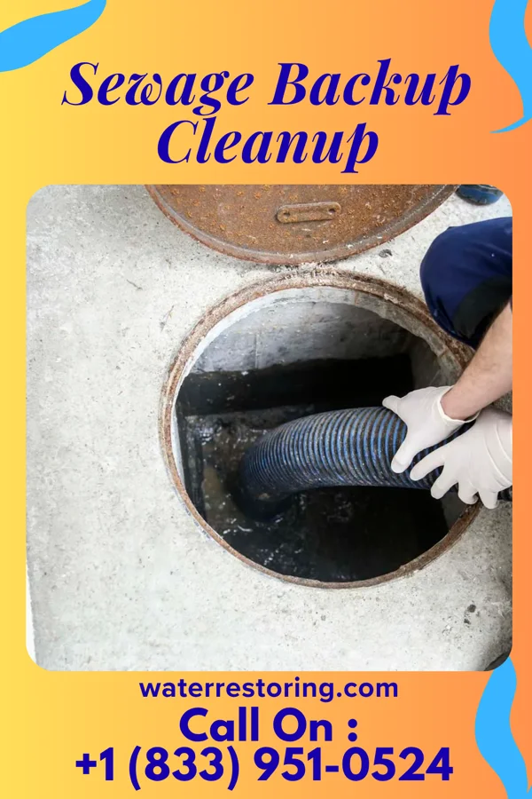 Sewage Backup Cleanup in Rural Hall, NC