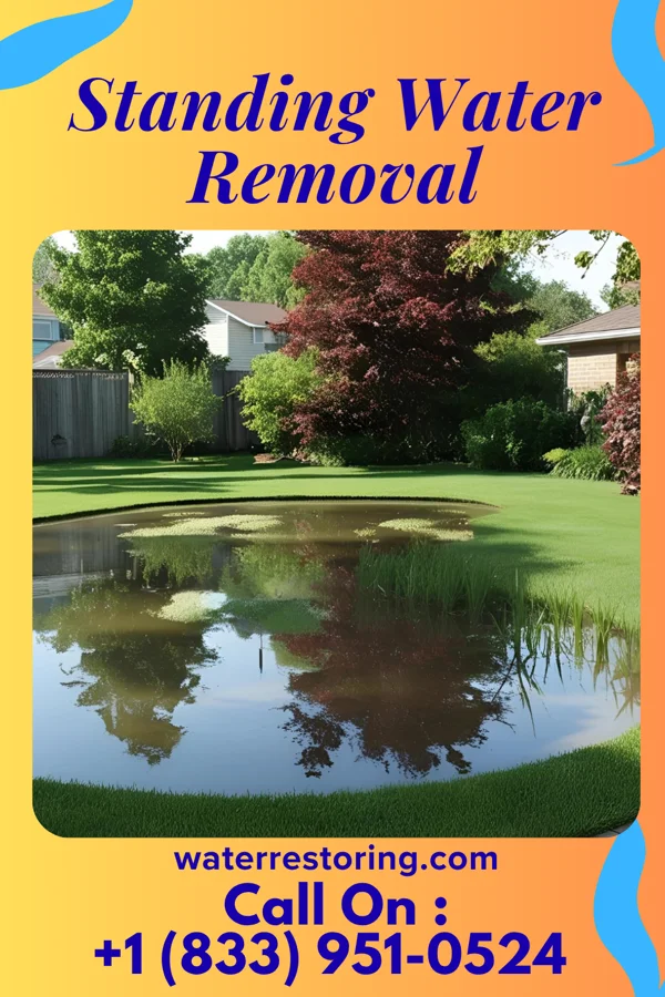 Standing Water Removal in Rural Hall, NC